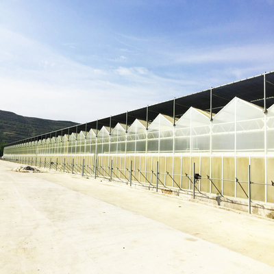 90 في المائة من شبكة الظل الزراعية المعالجة بالأشعة فوق البنفسجية لزراعة الخضروات