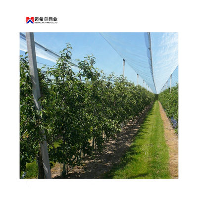Protect your gardens apple trees and agricultural crops with Hail Net made from 100 percent virgin HDPE high density netting cloth