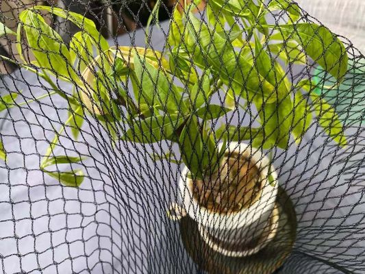 أغطية حماية بركة السباحة ضد مالك الحزين كوي السمك الصافي 15ft X 20ft Hdpe