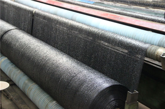 ملابس خضراء بيضاء خضراء 50 30 40 80 في المئة الفناء الخلفي