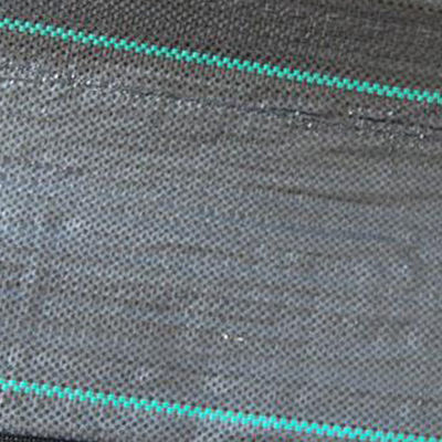 3m واسعة المناظر الطبيعية الصناعية الصف الحشائش حصيرة 3x 50 لحديقة الخضار