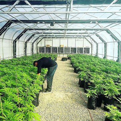 60 ٪ في الهواء الطلق الفناء البلاستيك Agri الظل المعاوضة لحديقة الخضروات